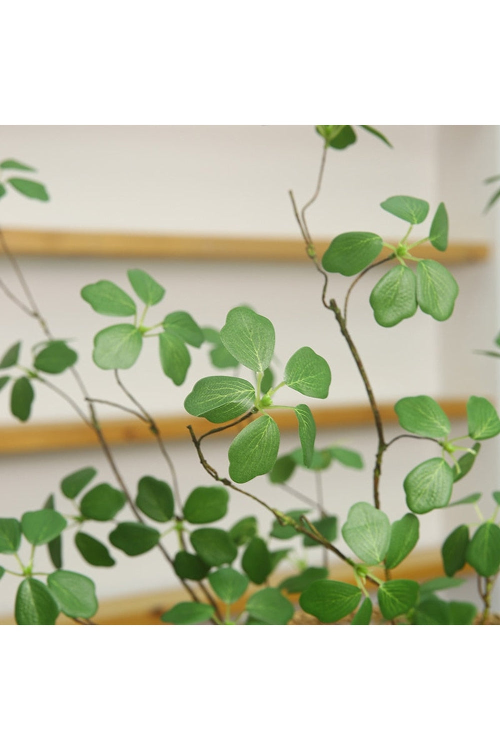 Lisslune | Guanyin Lotus Leaf Decor