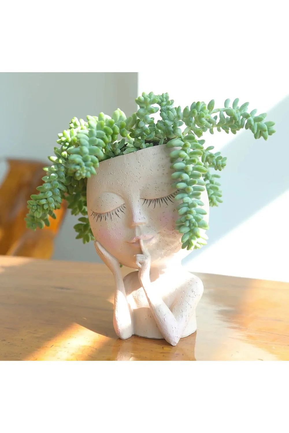 Lisslune | Succulent Plants Pot