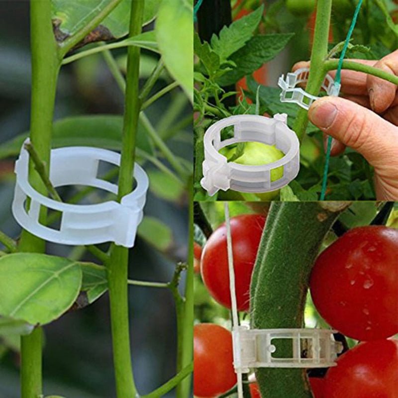 Lisslune | Reusable Plant Supports Tomato Clips