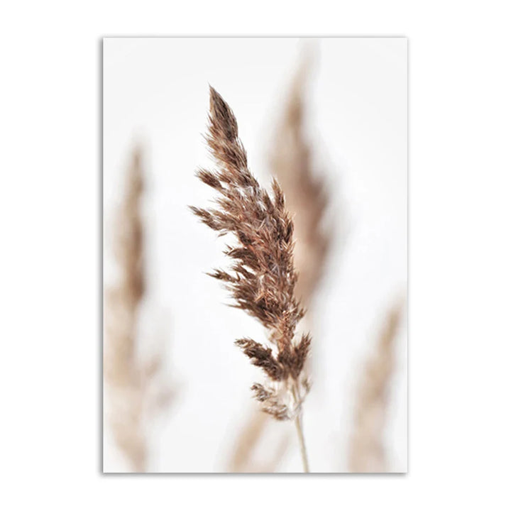 Lisslune | Academia Reed Canvas Poster