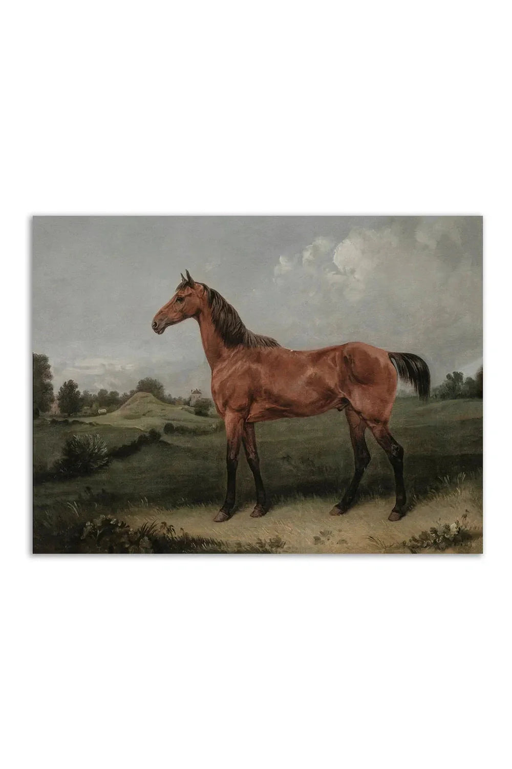 Lisslune | Lady Canvas Poster