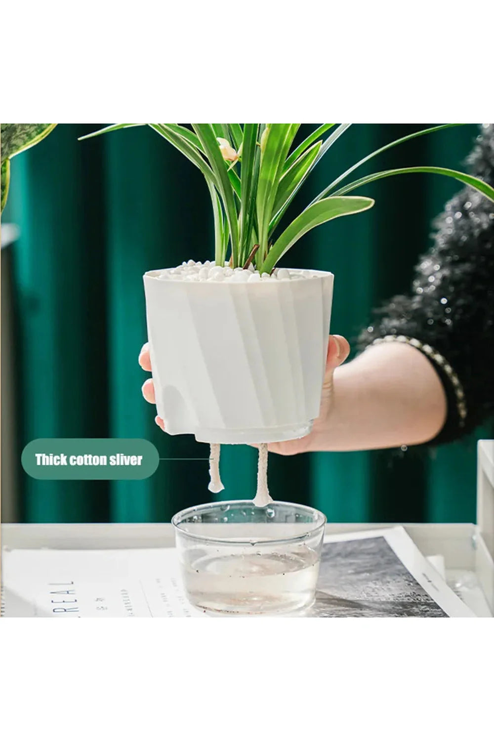 Lisslune | Transparent office plant pot
