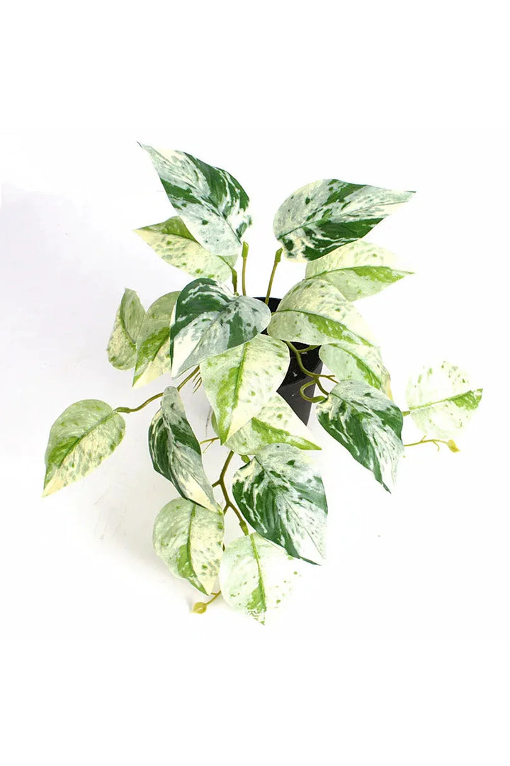 Lisslune | Green Artificial Plants