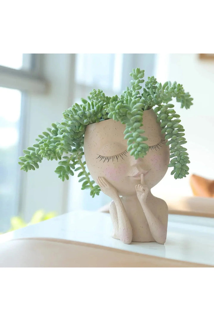 Lisslune | Succulent Plants Pot