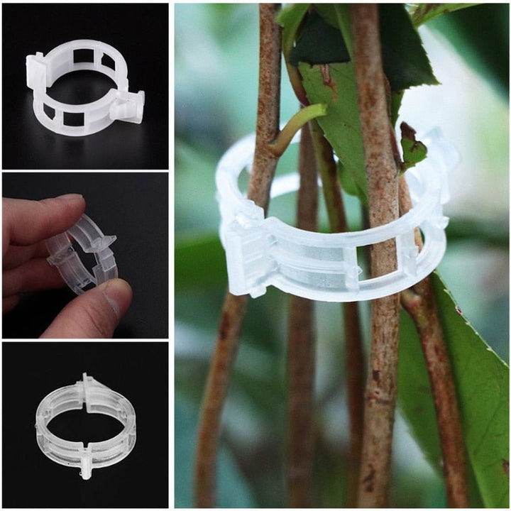 Lisslune | Reusable Plant Supports Tomato Clips