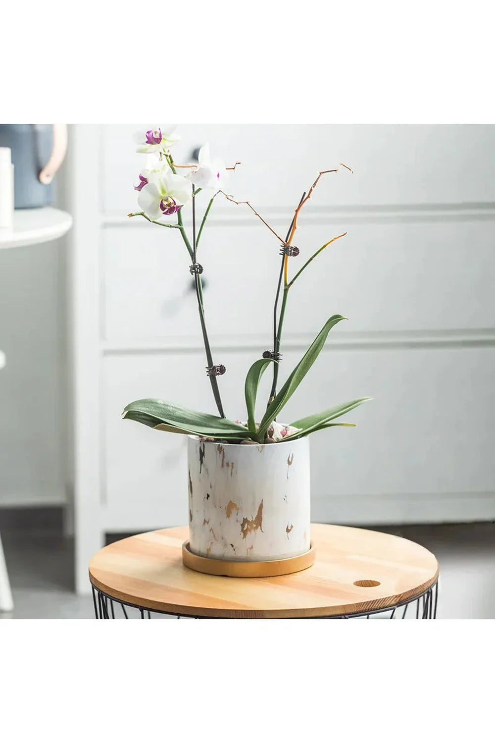 Lisslune | Marble Gold Leaf Plant Pot Set