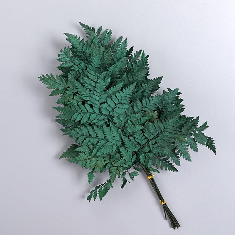 Lisslune | Alpine Serenity Fern Decor Kit: Bring the Essence of Nature Indoors