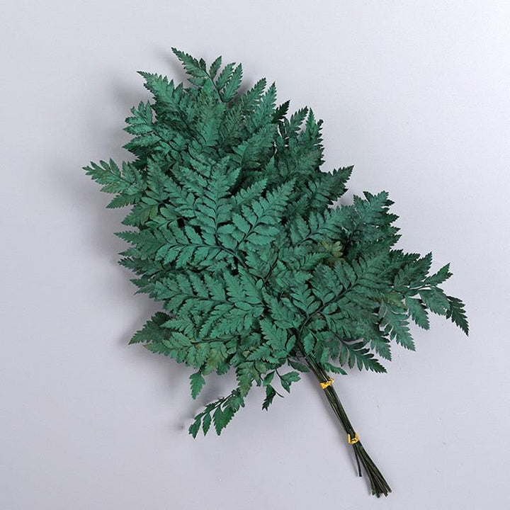 Lisslune | Alpine Serenity Fern Decor Kit: Bring the Essence of Nature Indoors