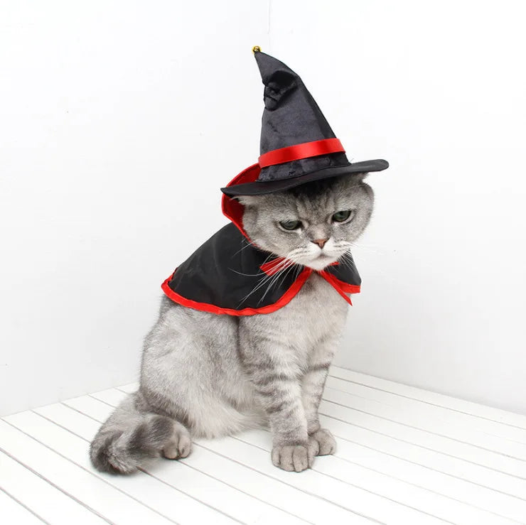 Lisslune | Cat Halloween costume
