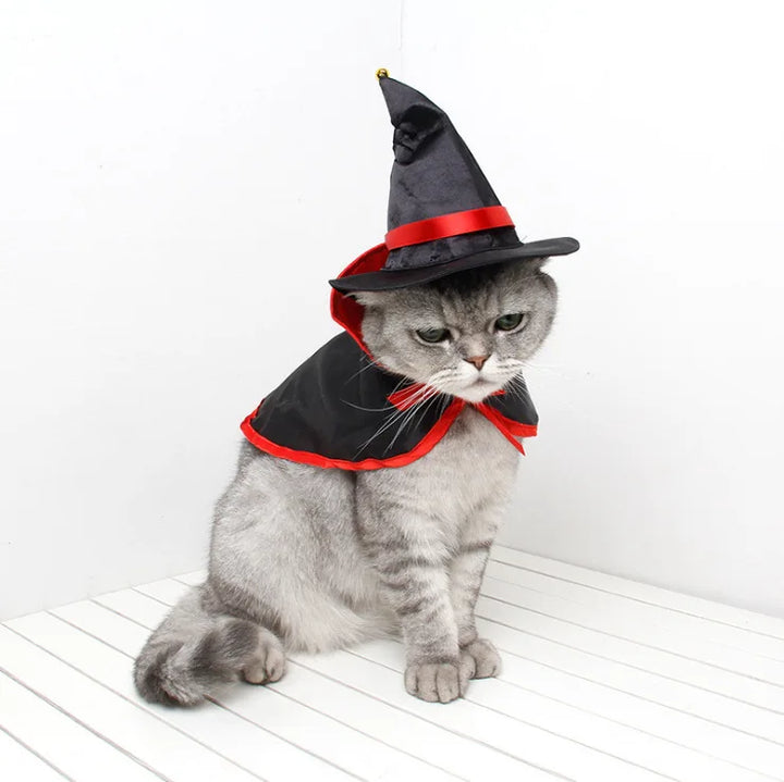 Lisslune | Cat Halloween costume