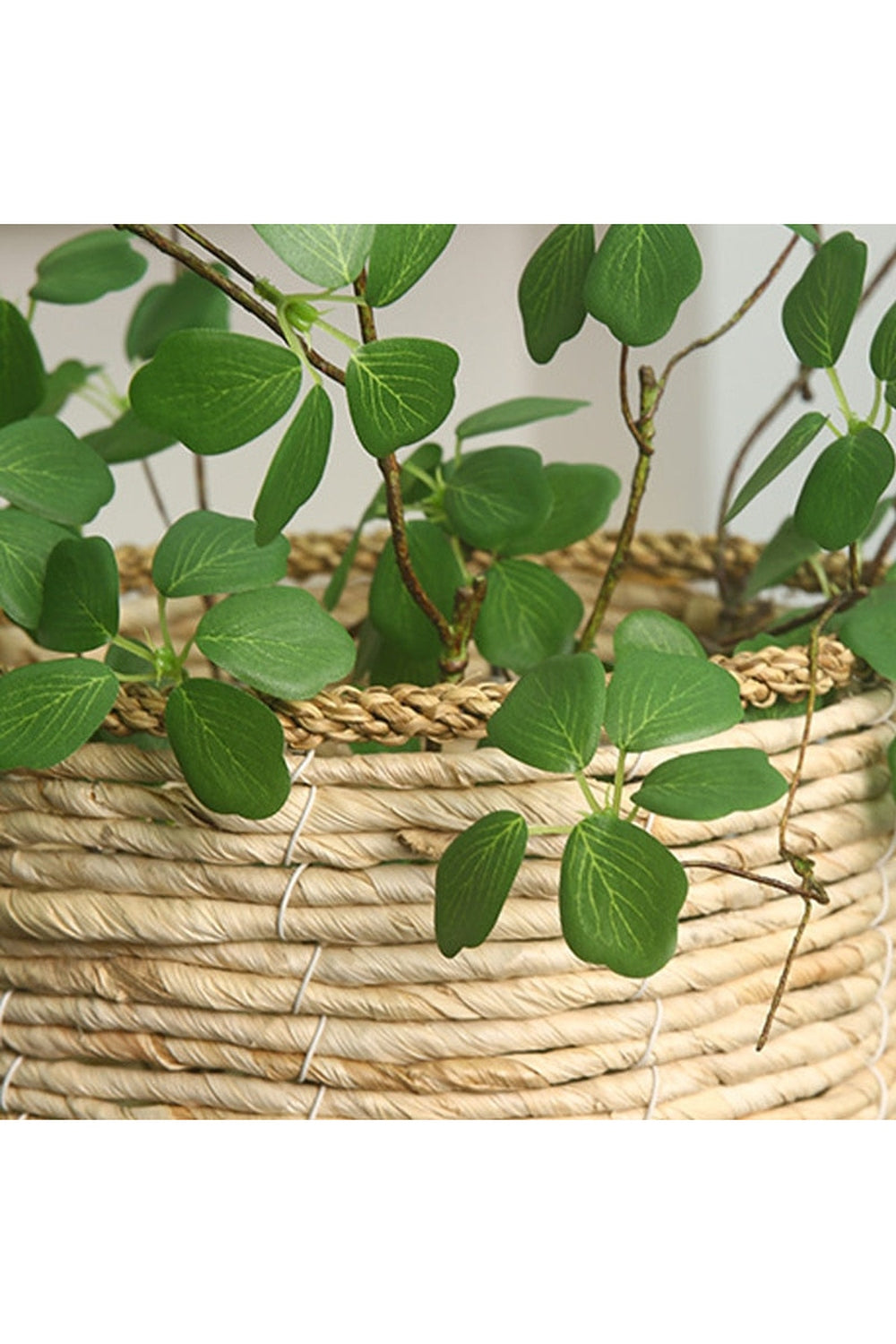 Lisslune | Guanyin Lotus Leaf Decor