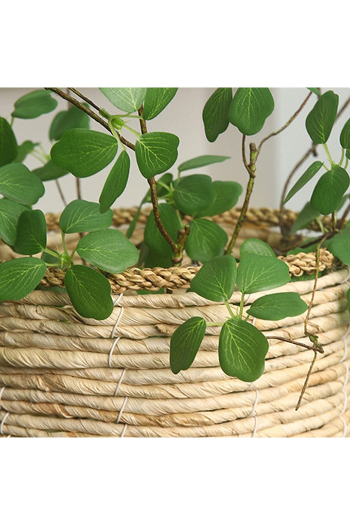 Lisslune | Guanyin Lotus Leaf Decor