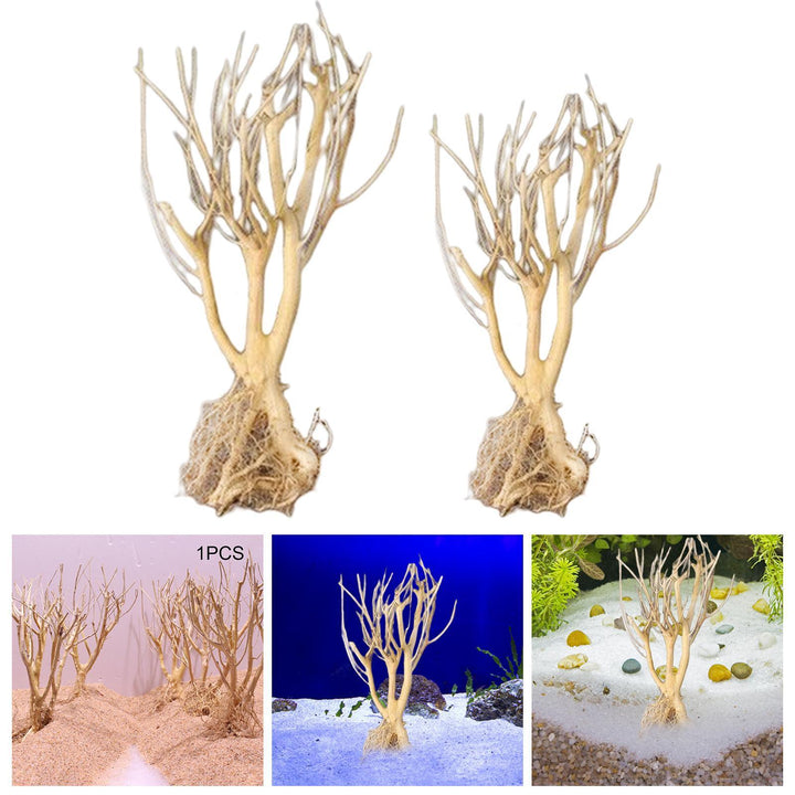 Lisslune | Natural Driftwood Decor for Aquariums: Enhance your aquatic environment with rustic charm