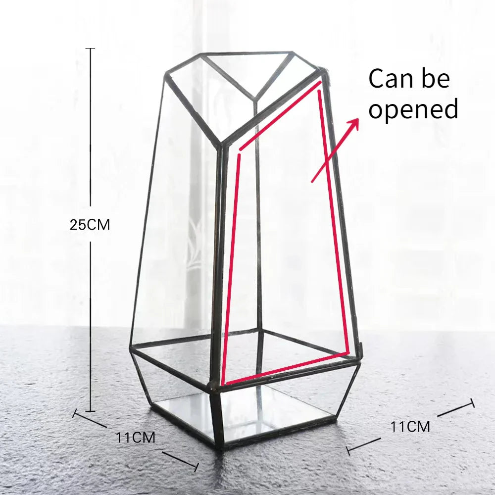 Lisslune | Modern Geometric Nature-Inspired Botanical Terrarium