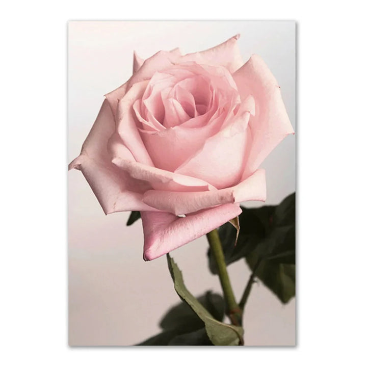Lisslune | Rose Canvas Poster