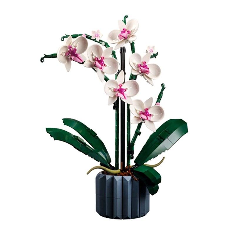 Lisslune | Timeless Orchid Flower Craft Kit: Enhance your Home and Gift Experience