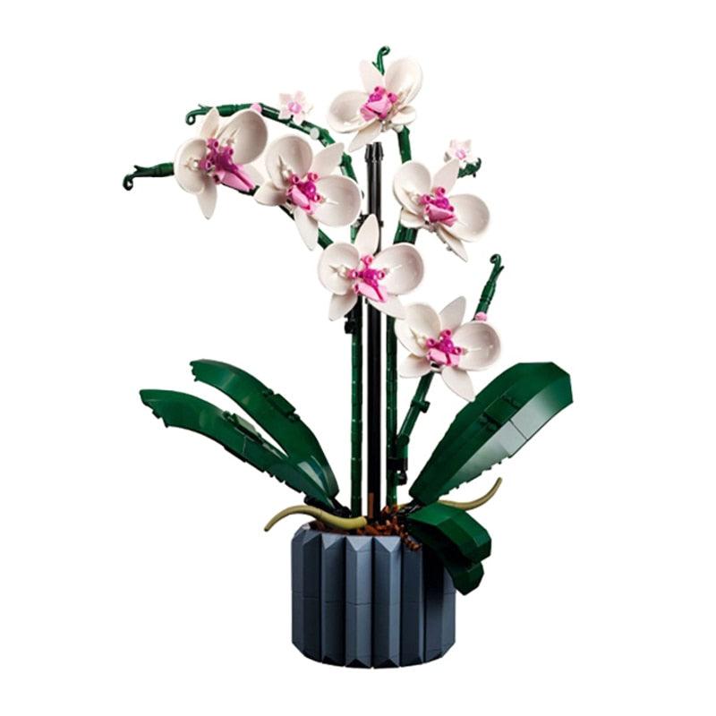 Lisslune | Eternal Orchid Artistry DIY Craft Kit - Create Timeless Flower Arrangements