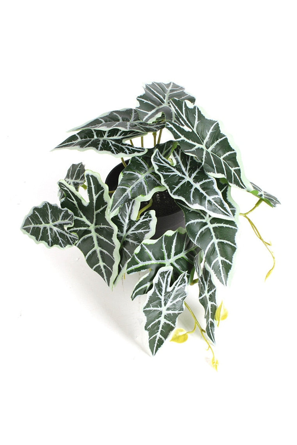 Lisslune | green grapevine wall decoration