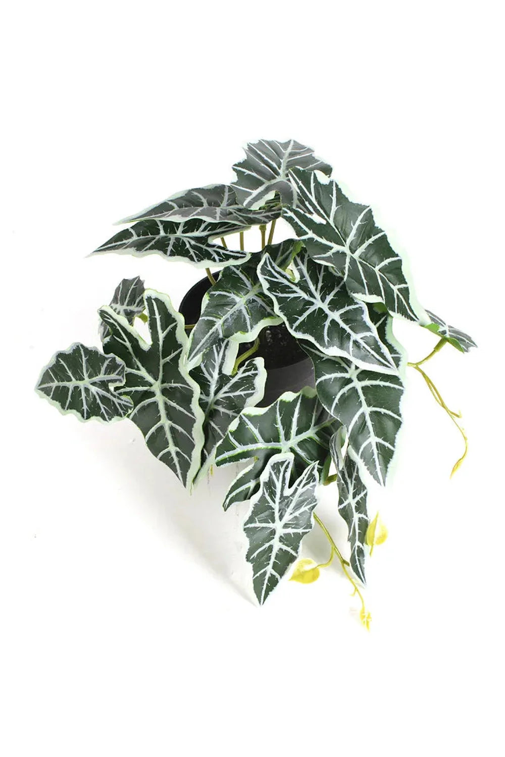 Lisslune | Green Artificial Plants