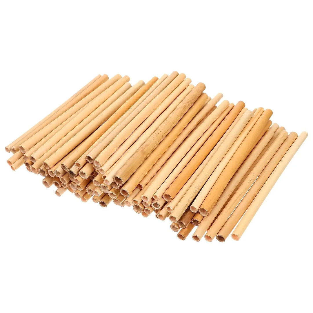 Lisslune | 100 pieces of eco-friendly bamboo bee tubes for improved pollination