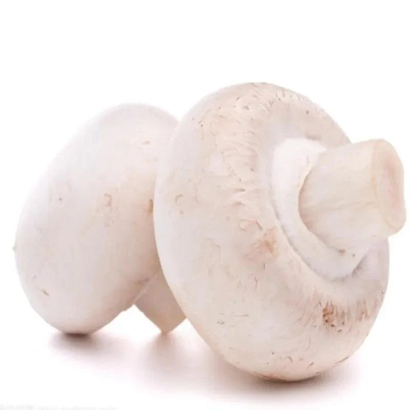 Lisslune | Charming Synthetic Mushroom Decor Collection - 6 Life-like Models for Home and Photography Enhancement
