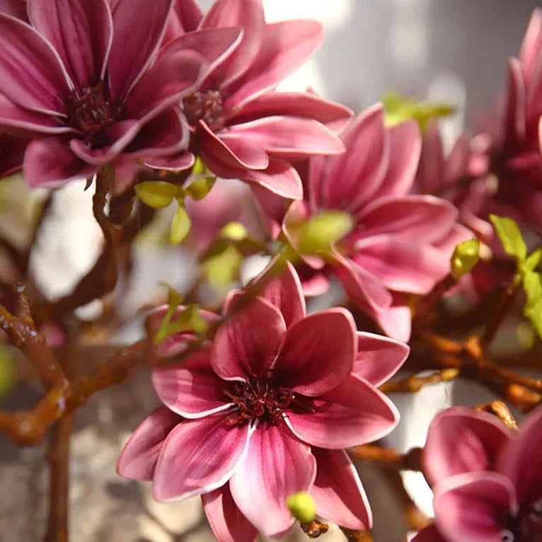 Lisslune | Artificial Magnolia Flowers