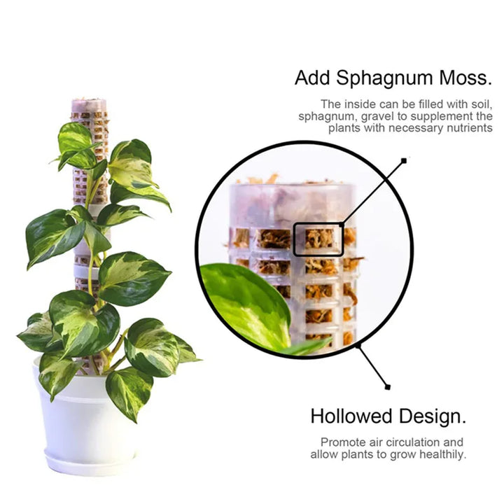 Lisslune | Pillar for climbing plants and green plants – Support columns for vertical plant cultivation