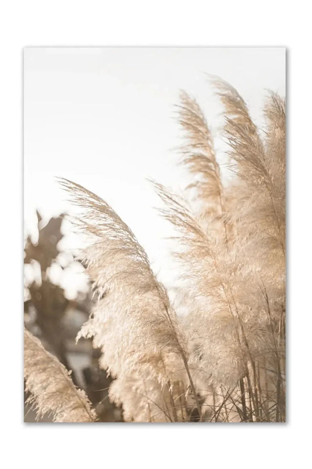 Lisslune | Surf & Travel Canvas Poster