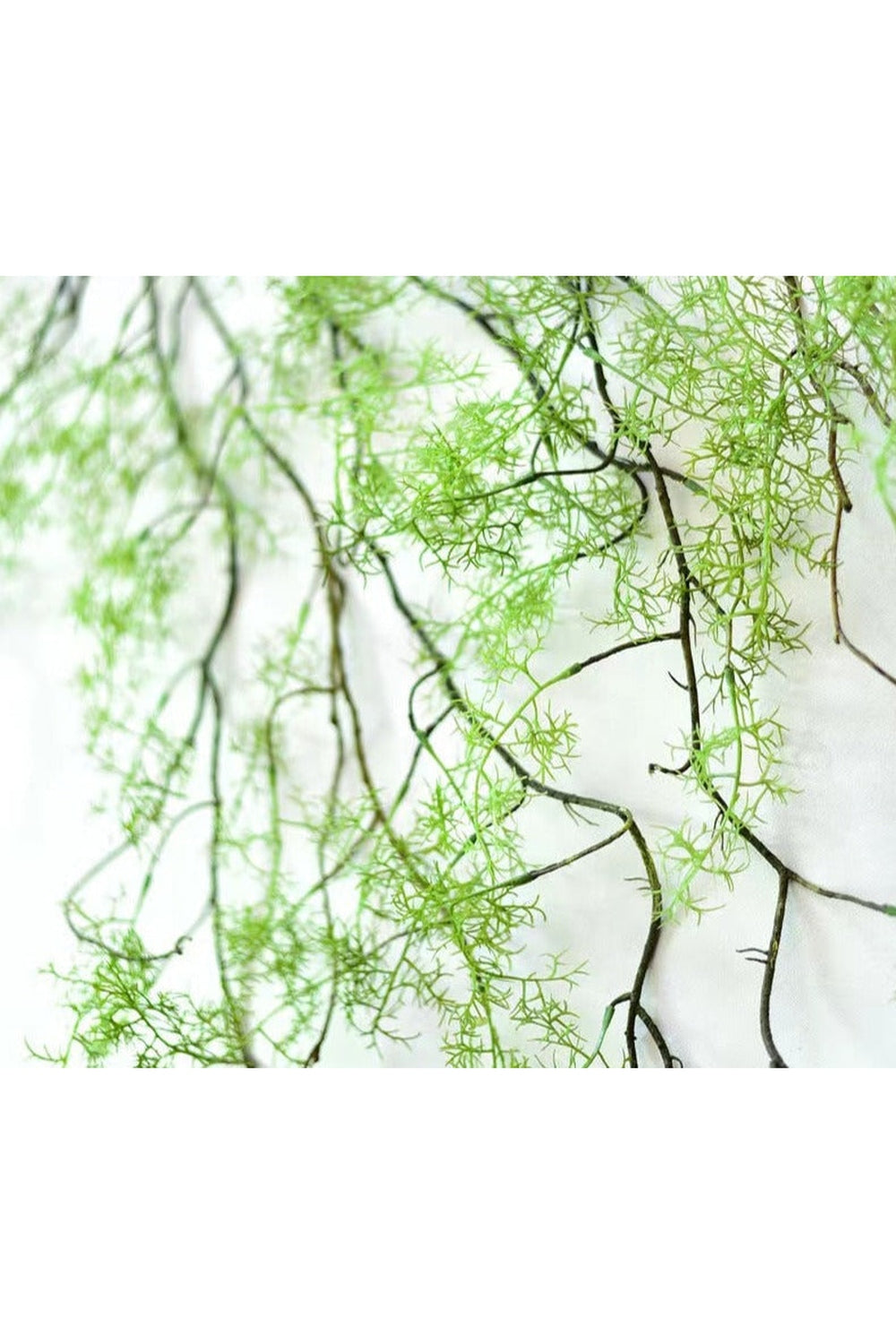 Lisslune | Grapevine Wall Hanging Decor