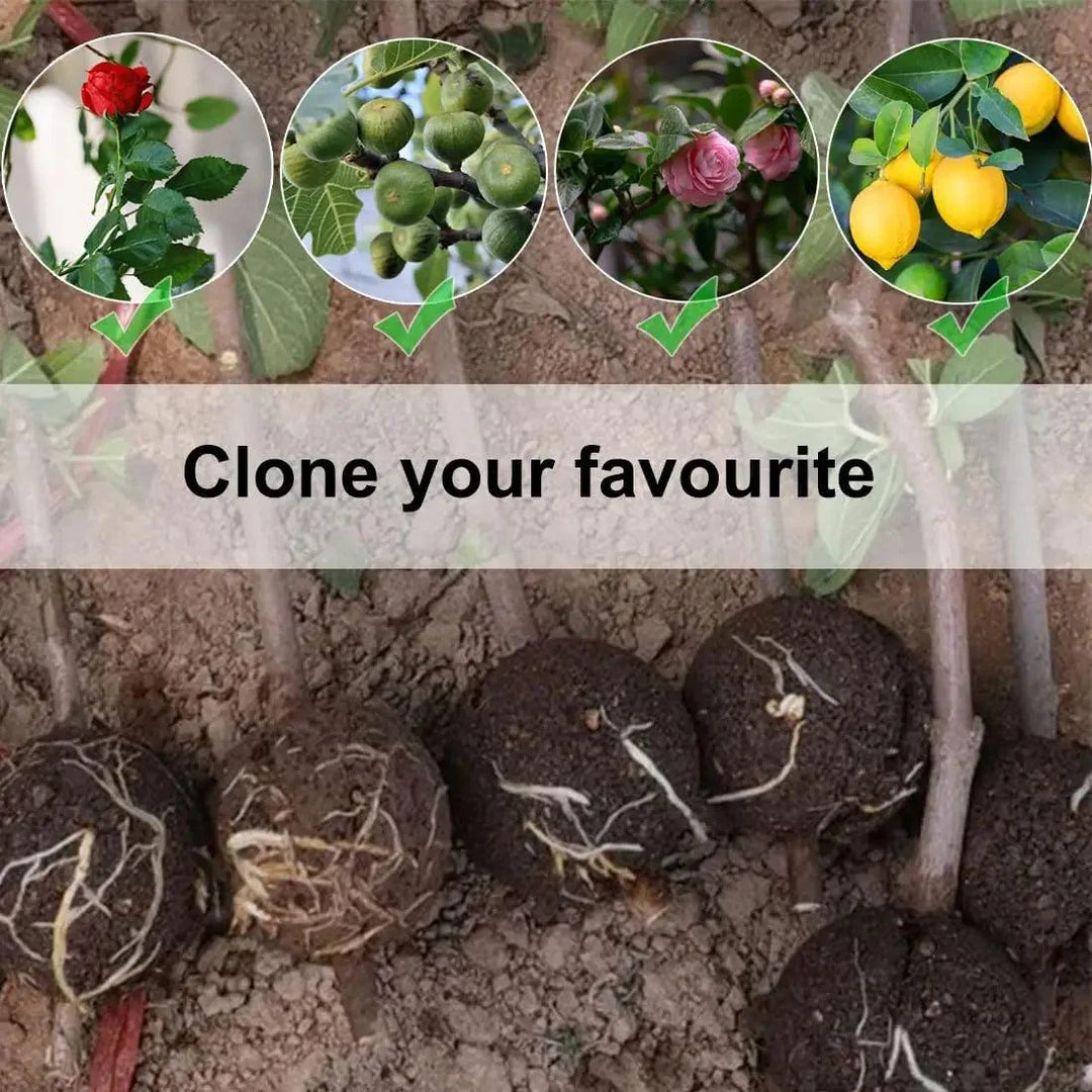 Lisslune | 10-Pack High Pressure Root Ball Kits for Easy Plant Propagation and Air Layering