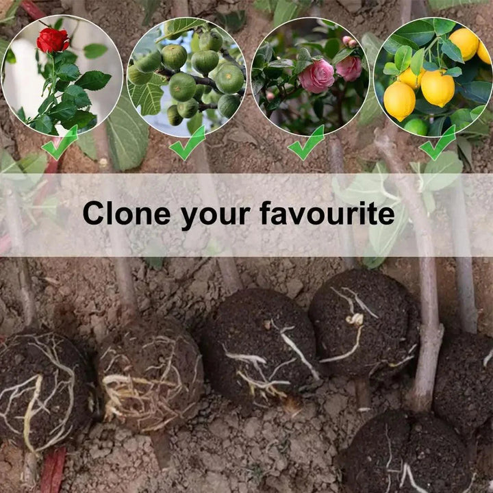 Lisslune | 10-Pack High Pressure Root Ball Kits for Easy Plant Propagation and Air Layering
