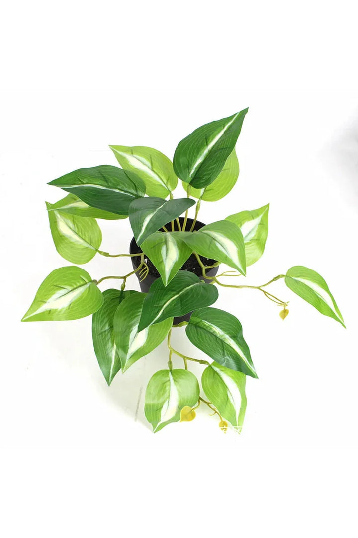 Lisslune | Green Artificial Plants