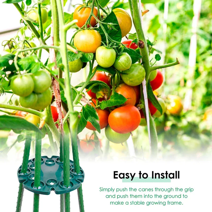 Lisslune | Plant support ring for bamboo poles – Stable climbing aid for tomatoes and climbing plants