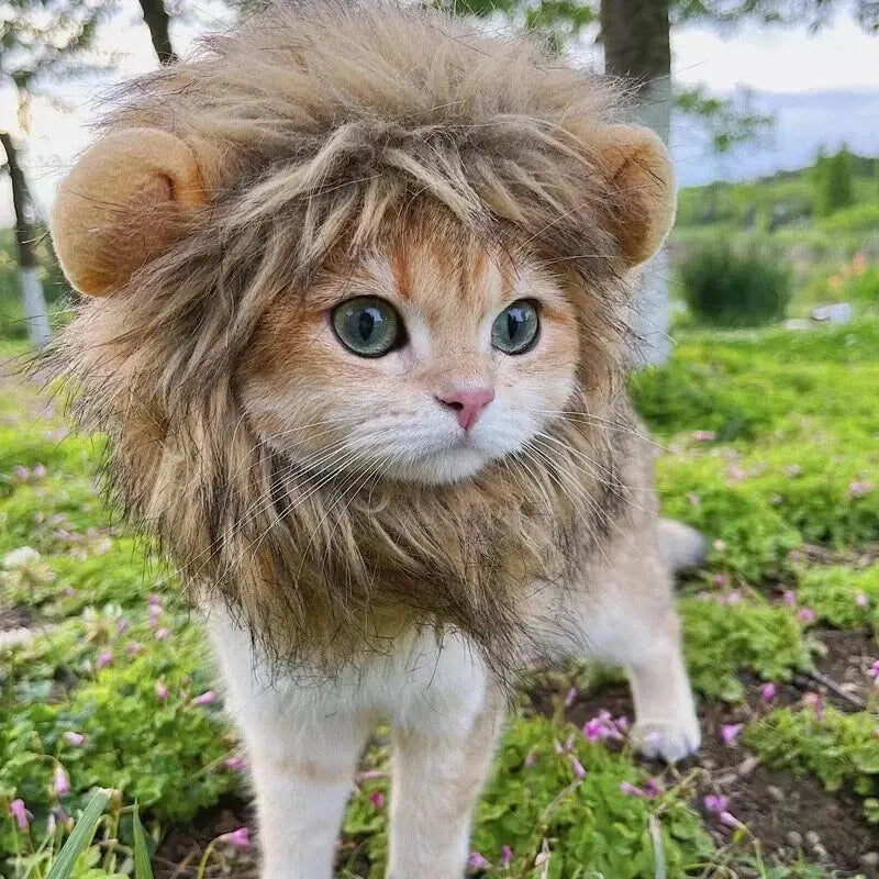 Lisslune | Cute Cat Lion Mane Costume