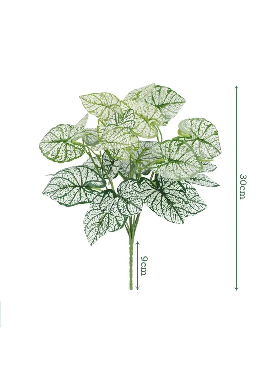 Lisslune | Tortoiseshell Artificial Plants