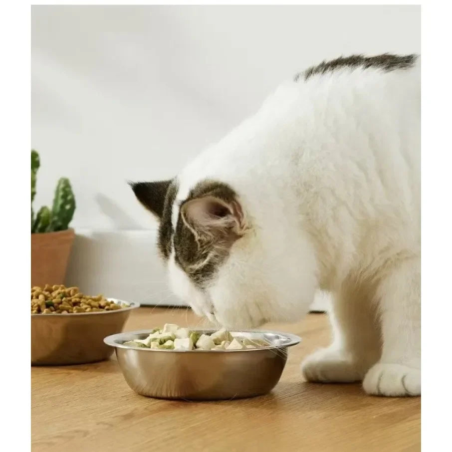 Rynx | Elevated feeding bowl inclined stainless steel feeding bowls dog water feeding feeding bowl cat bowl wooden stand pet supplies single/double