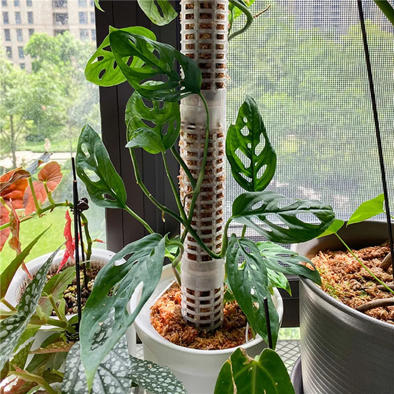 Lisslune | Pillar for climbing plants and green plants – Support columns for vertical plant cultivation