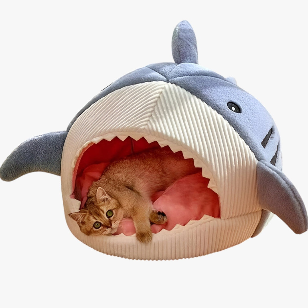 Lisslune | SoftBloom Shark Cat Bed – Cozy Hideaway for Indoor