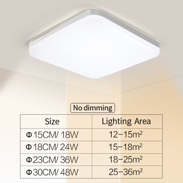 Lisslune | Natural Room Sleek LED Ceiling Light