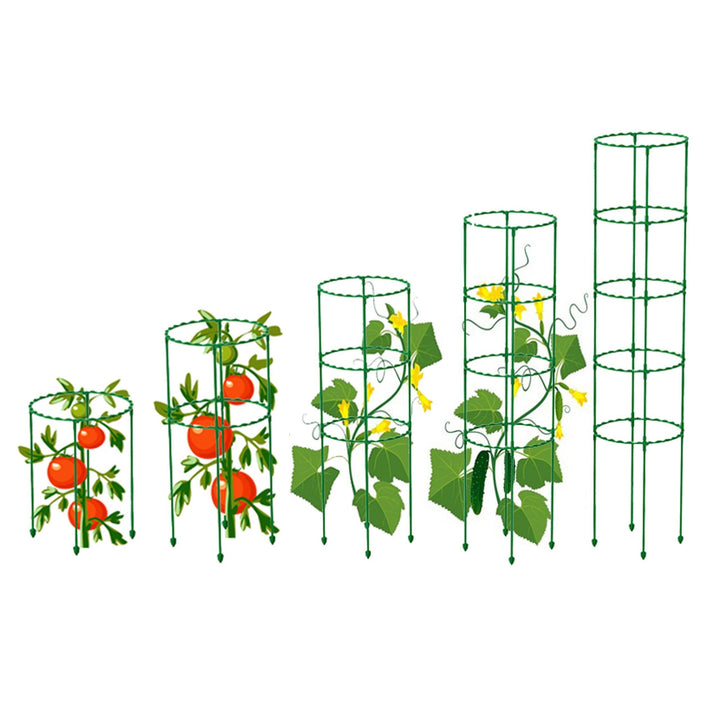 Lisslune | Versatile Plant Support Stake: Essential Tool for Flourishing Gardens and Greenhouses