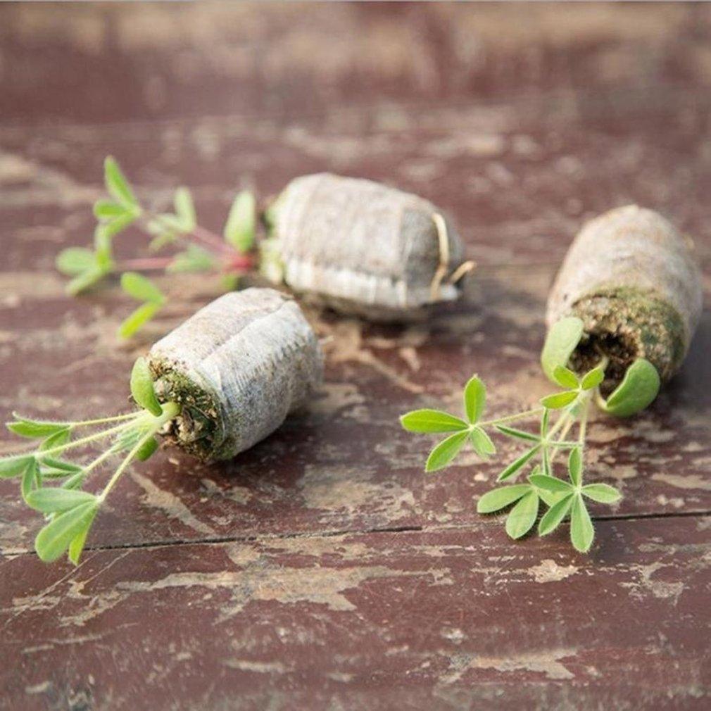 Lisslune | Sustainable Seedling Starter Kit with Biodegradable Peat Blocks for Flowering Gardens