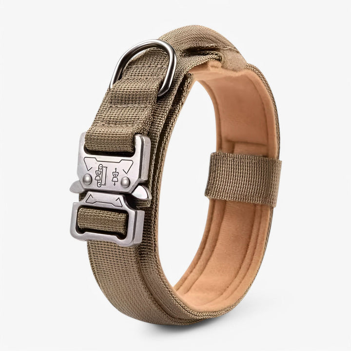 Lisslune | OutdoorHeld Dog Collar – For active dogs with endurance
