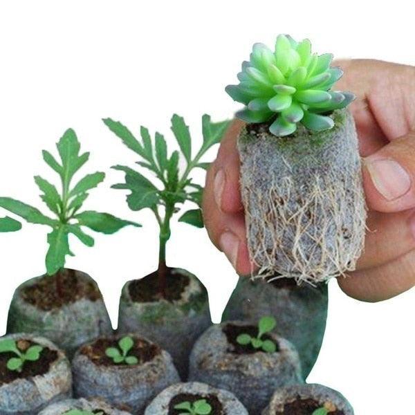 Lisslune | Eco-friendly 100-pack non-woven seed bags for improved plant growth