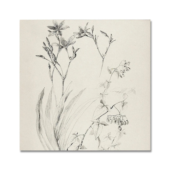 Lisslune | European canvas poster