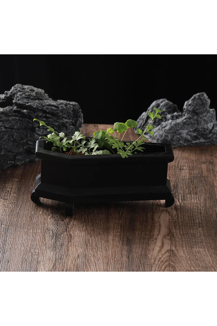 Lisslune | Coffin Plant Pot