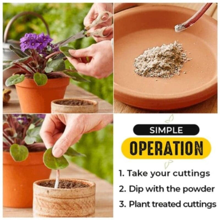 Lisslune | Rapid Root Revolution: Premium Growth Booster for Fast Plant Propagation