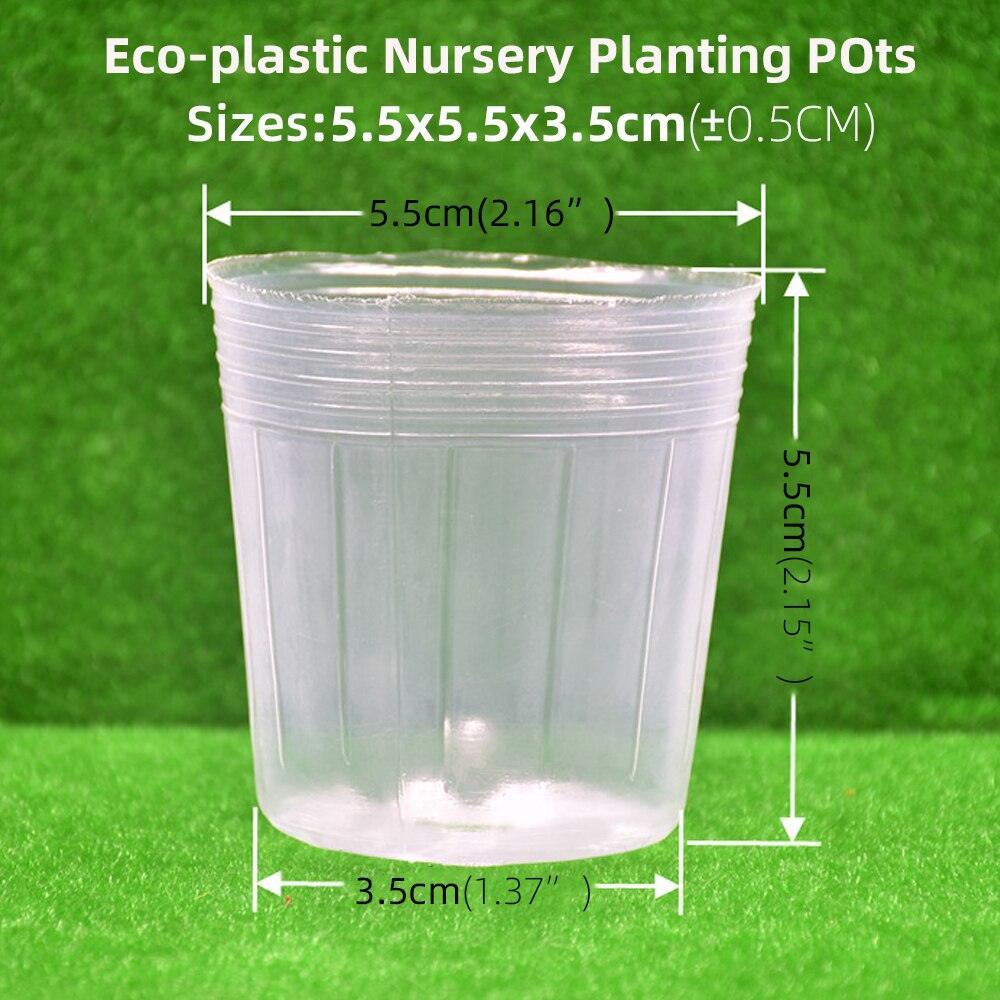 Lisslune | 100-piece clear plant growth cups: Successfully boost your garden