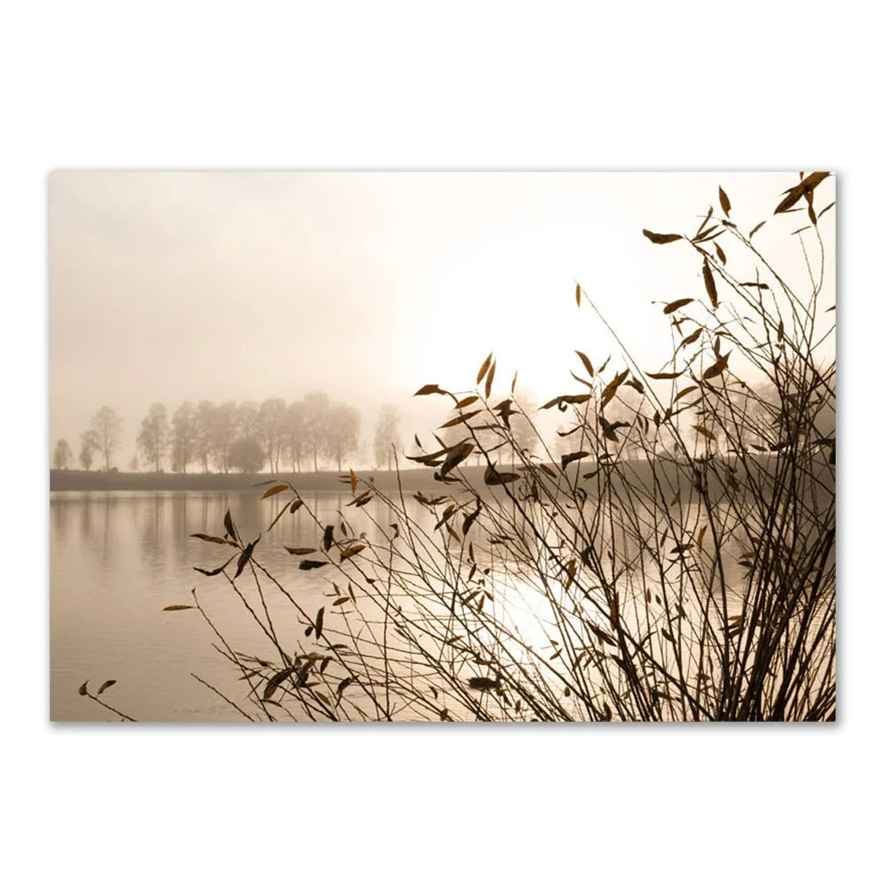 Lisslune | Reed Canvas Poster