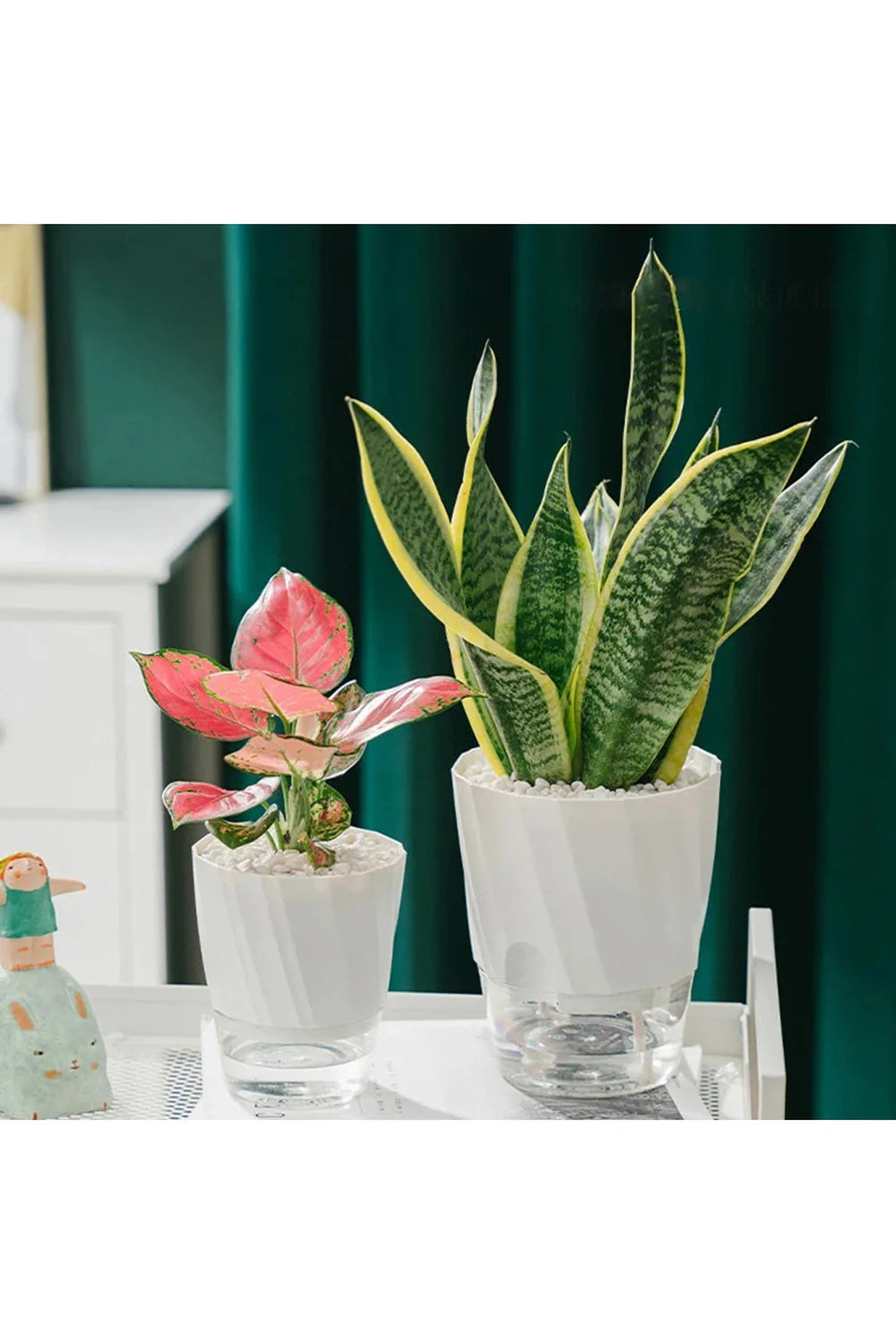 Lisslune | Transparent office plant pot