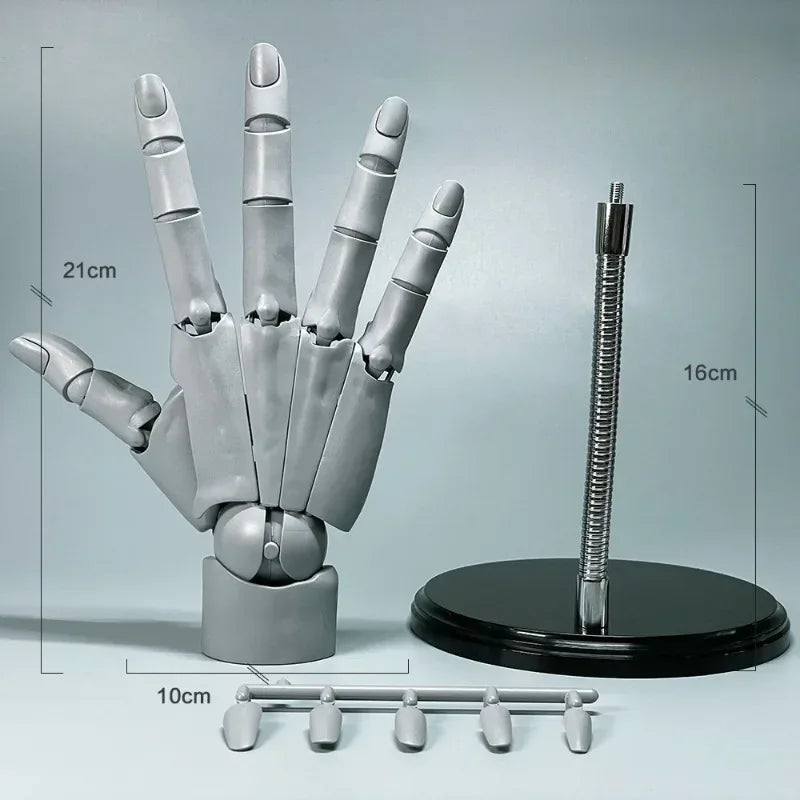 Lisslune | Multi-Pose Drawing Sculpting Art Hand Model